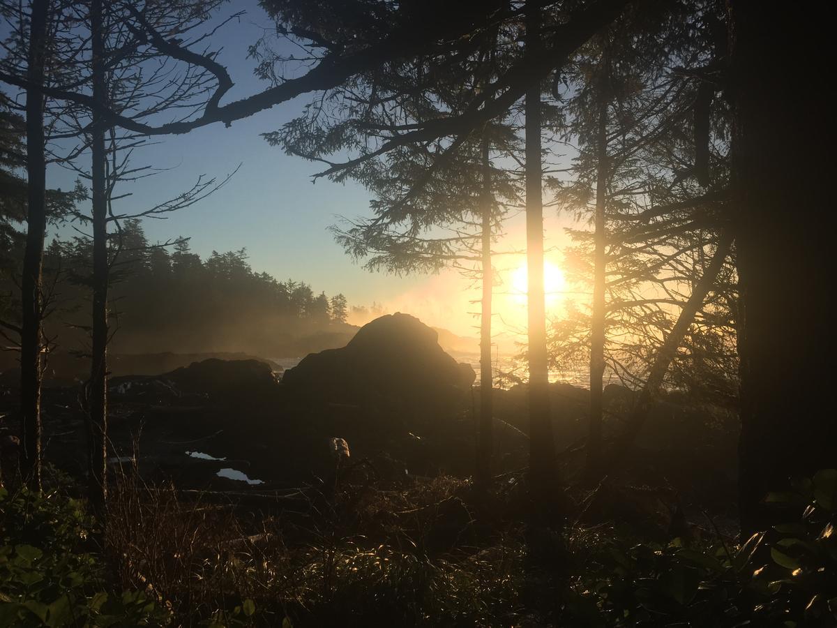 The Francis Boutique Inn Ucluelet Extérieur photo